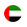 Dubai Flag