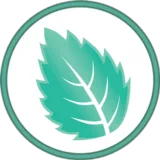Mintsoft logo